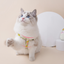 Pineapple Dog Harness & Leash Set – Adjustable Pet Harness