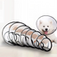 Colerette de Récupération Ajustable – 7 Tailles pour Chiens et Chats (15–46 cm)