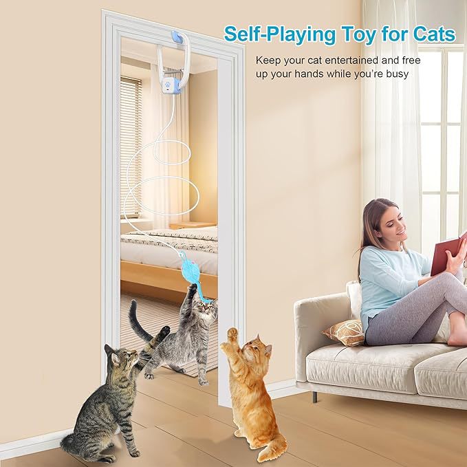 USB Rechargeable Hanging Cat Toy with Retractable Mouse