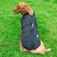 Winter Dog Jacket with Built-In Harness – Warm Outdoor Coat
