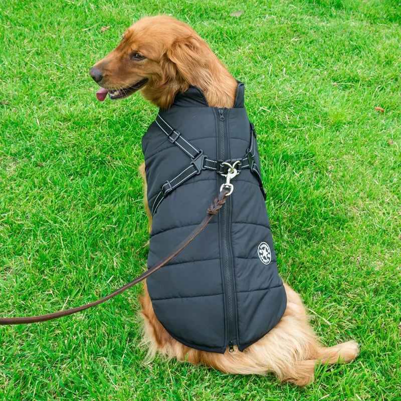 Winter Dog Jacket with Built-In Harness – Warm Outdoor Coat
