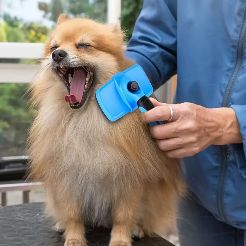 Brosse Autonettoyante pour Animaux – Outil de Désemmêlage