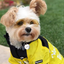 Manteau Imperméable pour Chien – Veste Extérieure Réfléchissante avec Capuche