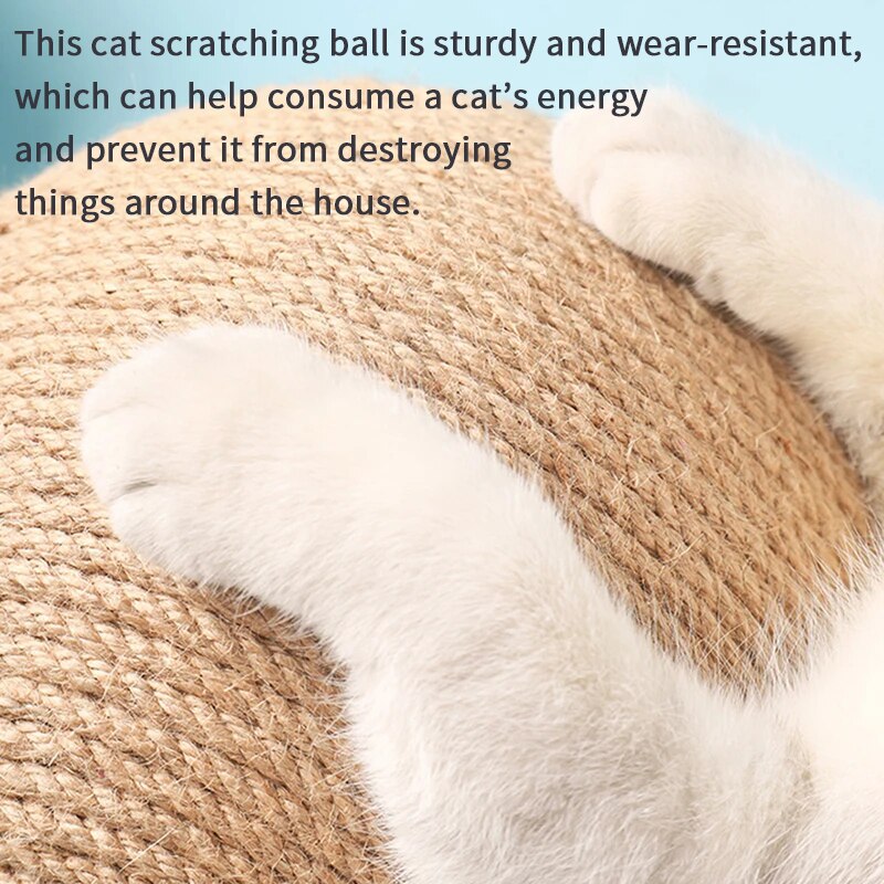 Balle à gratter pour chat pour un jeu interactif