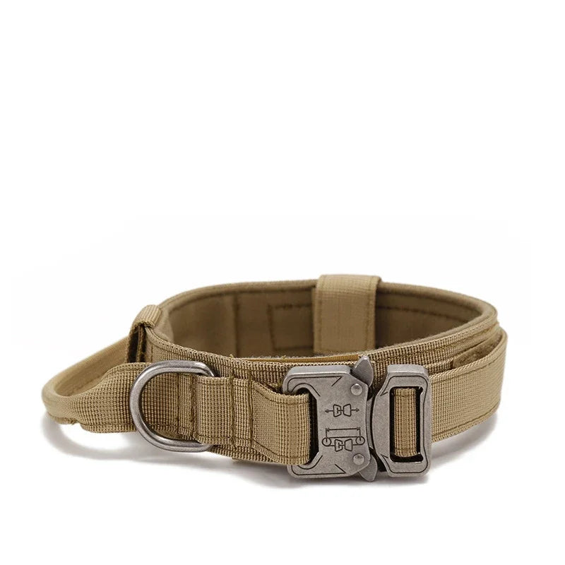 Collier pour chien robuste et confortable