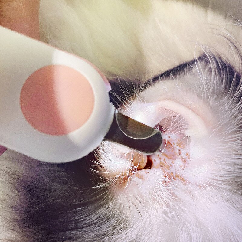 Coupe-ongles pour animaux de compagnie avec lumière LED intégrée
