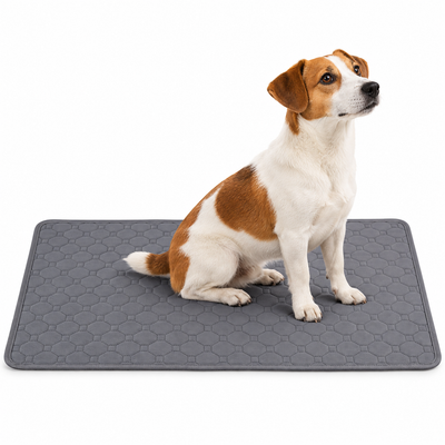 Tapis de Propreté Réutilisable et Lavable pour Chien