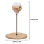 Interactive Cat Treat Ball Feeder with Spring Base