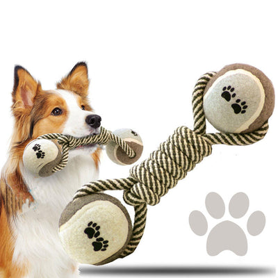 Balles de tennis à mâcher pour chien