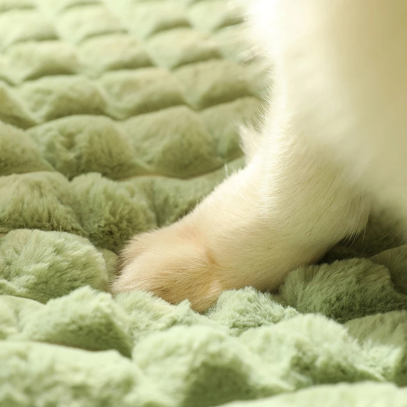 Lit Épais pour Chien & Chat avec Oreiller – Lavable & Antidérapant