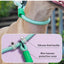 Hands-Free Dog Slip Leash – Adjustable Training Lead with Soft Handle