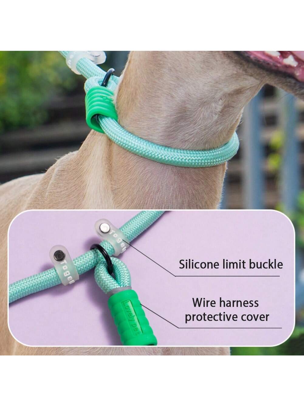 Hands-Free Dog Slip Leash – Adjustable Training Lead with Soft Handle
