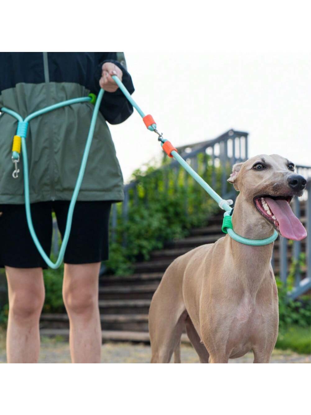 Hands-Free Dog Slip Leash – Adjustable Training Lead with Soft Handle
