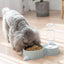Mangeoire Automatique pour Chat et Chien - Distributeur de Nourriture et d'Eau