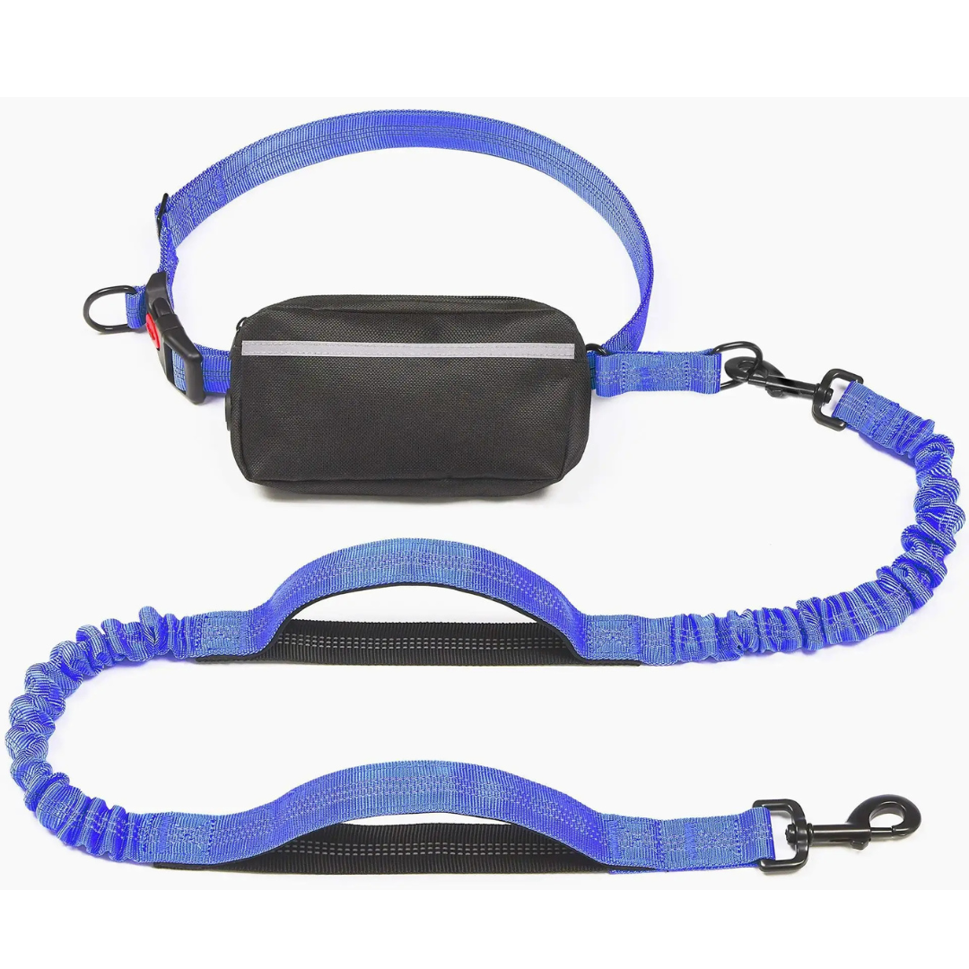 Laisse Chien Mains Libres – Ceinture avec Amortisseur