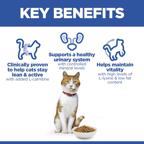 Hill’s Croquettes Chat Science Plan Stérilisé Adulte (1–6 ans) Saumon