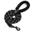 Laisse pour chien – Durable et confortable