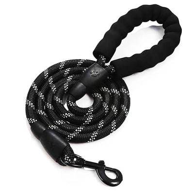 Laisse pour chien – Durable et confortable