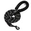 Dog Leash - Durable and Comfortable