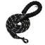 Durable Leash and Collar Set