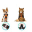 Harnais pour chiens de taille  grande