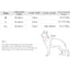 Collier pour chien robuste et confortable