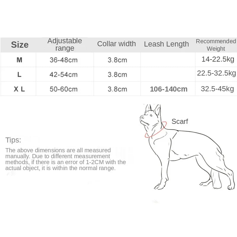 Collier pour chien robuste et confortable