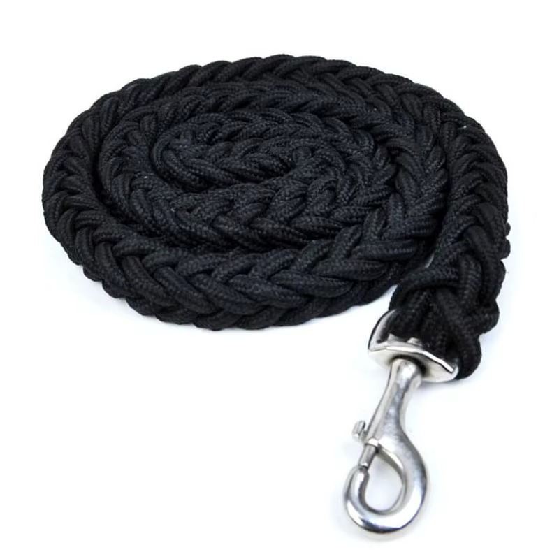 Laisse Solide pour Chien – Corde Renforcée de 120 cm pour Chiens Moyens à Très Grands