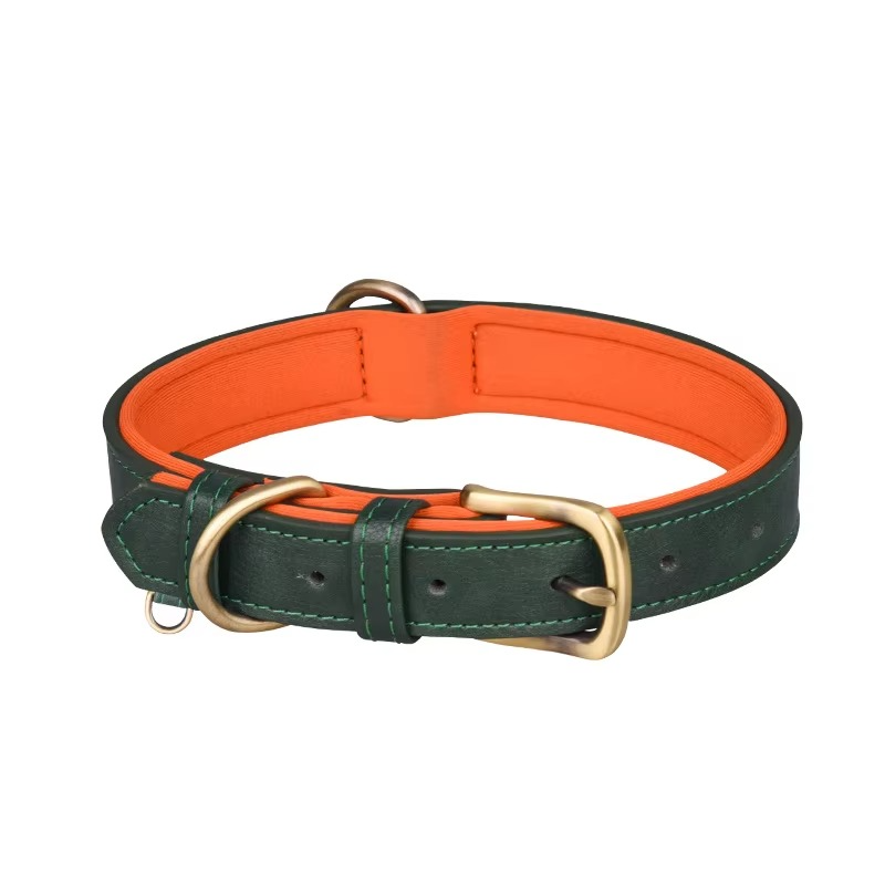 Collier pour Chien en Cuir – Réglable, Rembourré et Résistant avec Anneau en D