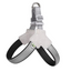 Pet Carrier + Harness & Leash Set