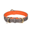 Collier pour Chien en Cuir – Réglable, Rembourré et Résistant avec Anneau en D