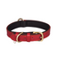 Collier pour Chien en Cuir – Réglable, Rembourré et Résistant avec Anneau en D