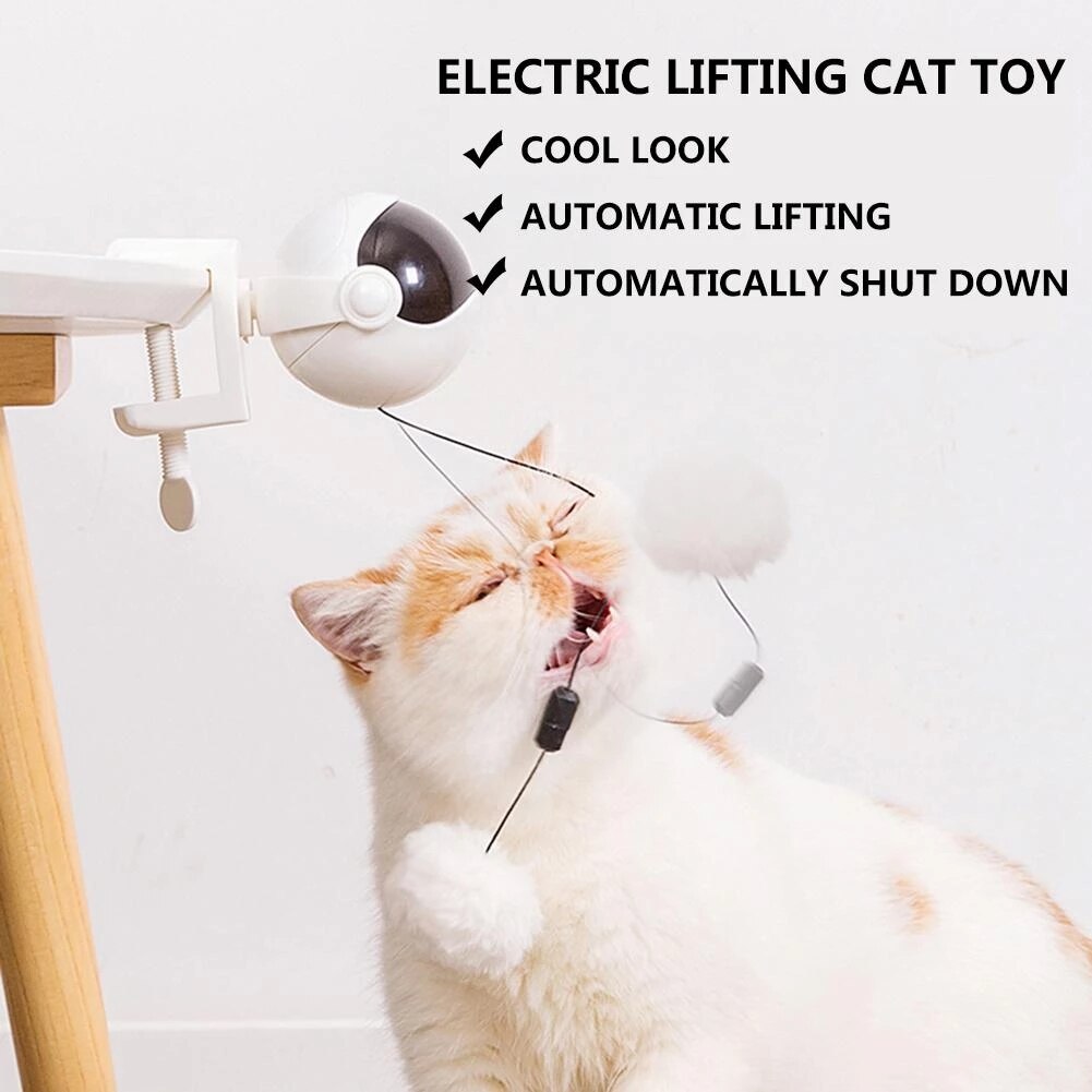 Jouet YoYo pour chat à mouvement interactif électronique