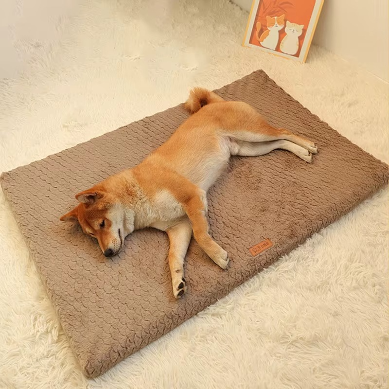 Lit pour Chien en Peluche – Doux, Lavable & Antidérapant
