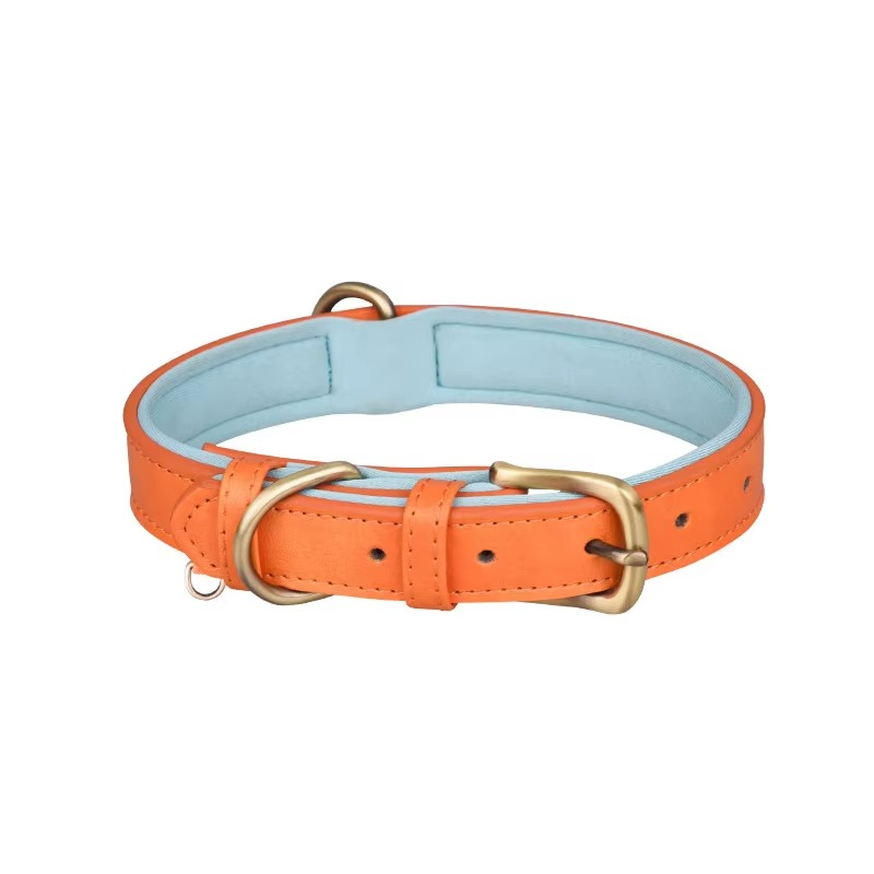 Collier pour Chien en Cuir – Réglable, Rembourré et Résistant avec Anneau en D
