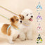 Soft Dog Harness & Leash Set – Adjustable Padded for Dogs & Cats