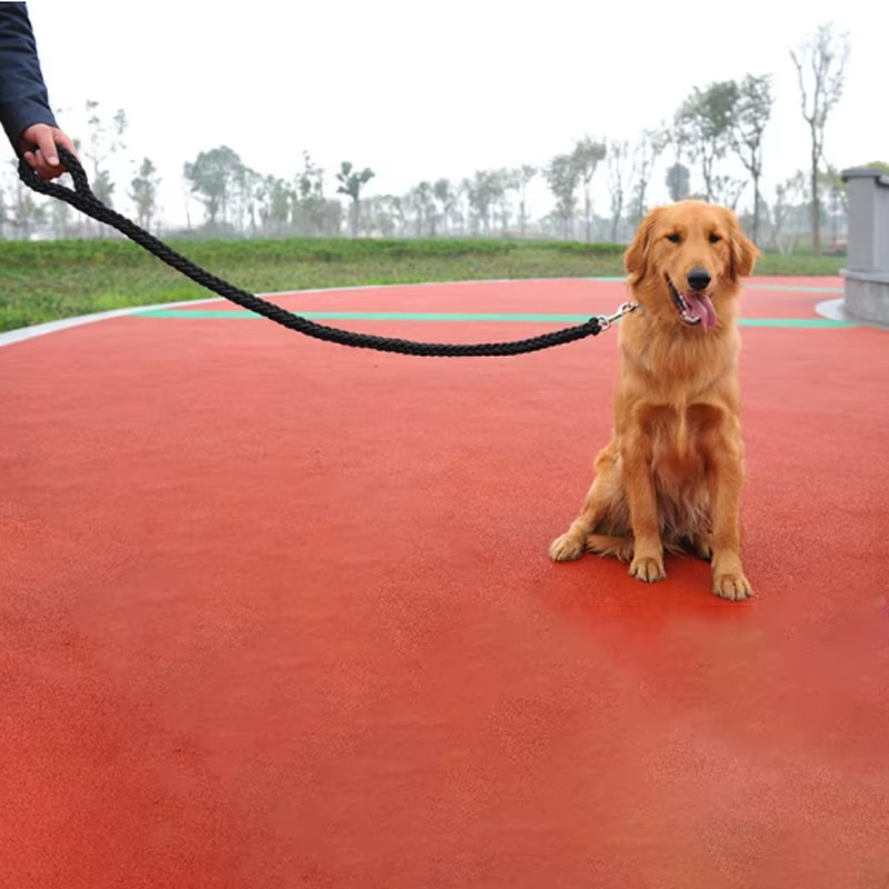 Laisse Solide pour Chien – Corde Renforcée de 120 cm pour Chiens Moyens à Très Grands