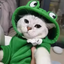 Sweat à Capuche Grenouille pour Chien – Manteau Douillet en Polaire pour Chiens et Chats