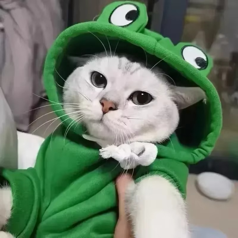 Sweat à Capuche Grenouille pour Chien – Manteau Douillet en Polaire pour Chiens et Chats