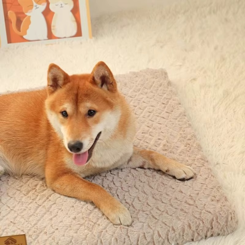 Lit pour Chien en Peluche – Doux, Lavable & Antidérapant