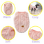 Manteau pour Chien en Polaire– Pull Chaud & Douillet