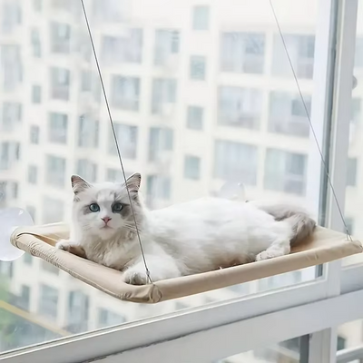 Perchoir pour fenêtre pour chat – Hamac à ventouse pour bronzer, solide et facile à installer