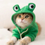 Sweat à Capuche Grenouille pour Chien – Manteau Douillet en Polaire pour Chiens et Chats