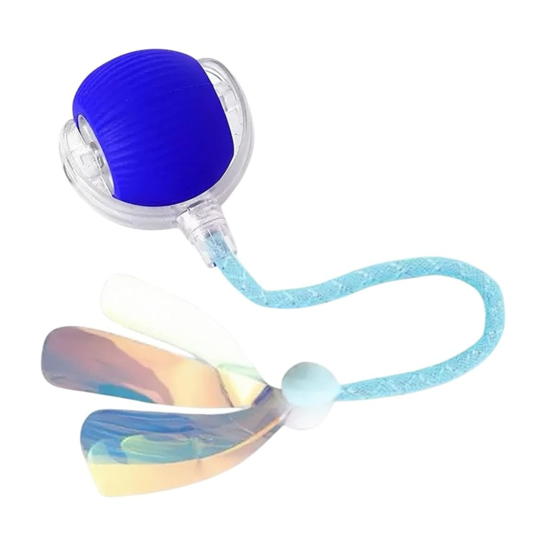 Interactive Rolling Ball for Cats and Dogs