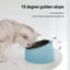 Gamelle pour Chat et Chien - Inclinée en Acier Inoxydable