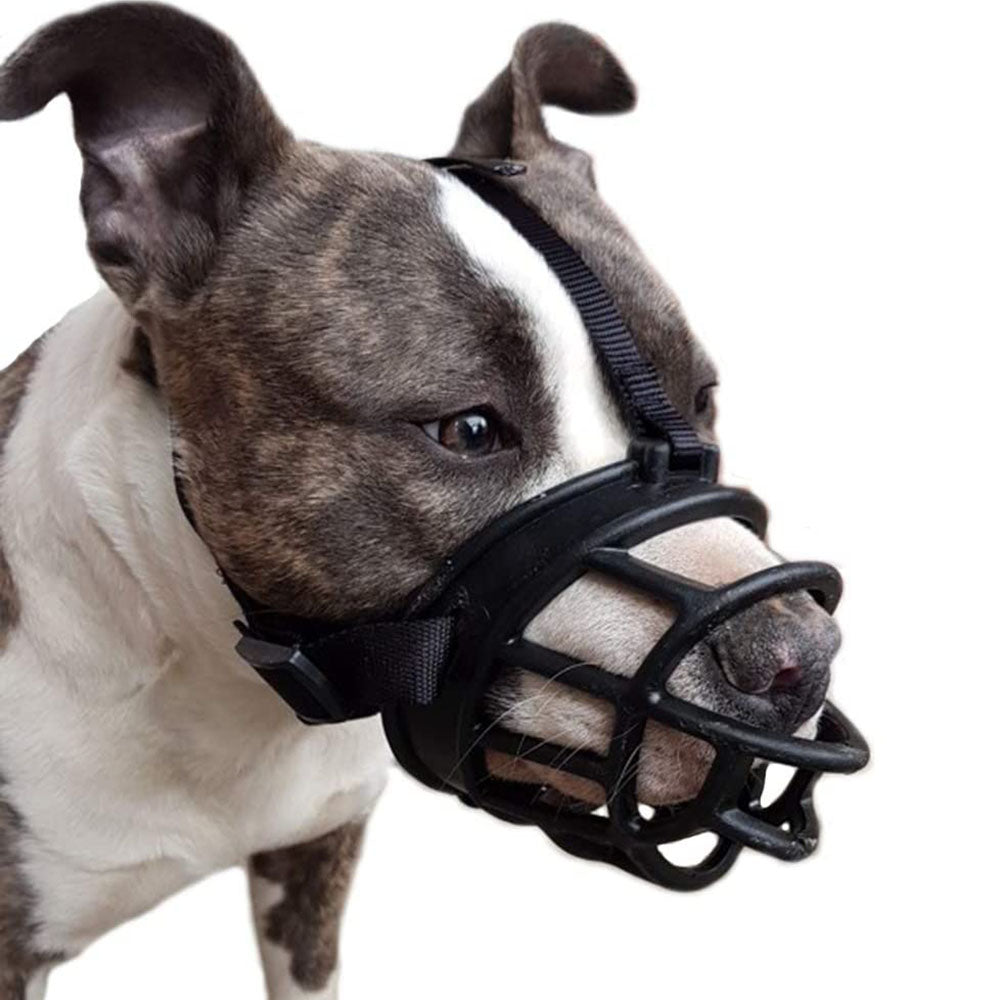 Muselière en caoutchouc de qualité supérieure pour une discipline canine efficace.