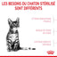 Royal Canin Kitten Sterilised – Dry Food for Neutered Kittens
