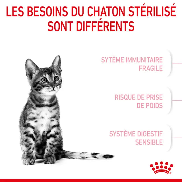 Royal Canin Kitten Sterilised – Dry Food for Neutered Kittens