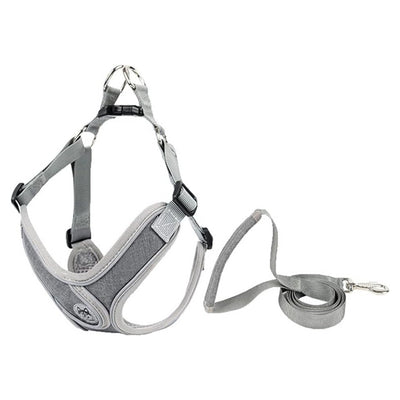 Harnais et laisse pour chien - Ajustement personnalisable