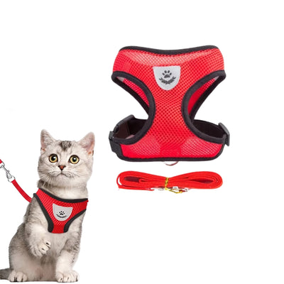 Harnais avec laisse pour chat et chien –  Réfléchissant, réglable et confortable